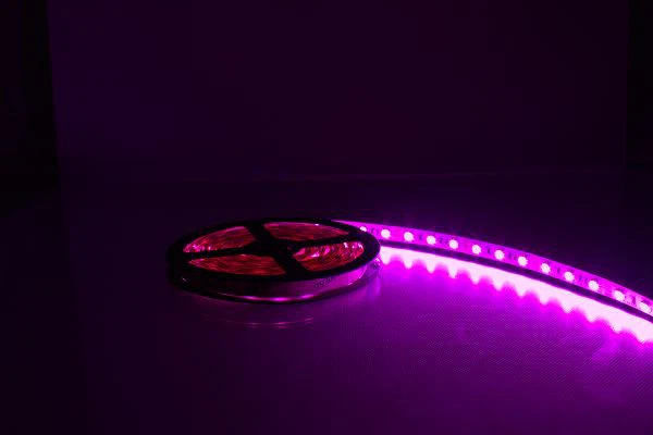 High uniformity 12V/24V 5050 RGB 60led/m Led flexible led strip light