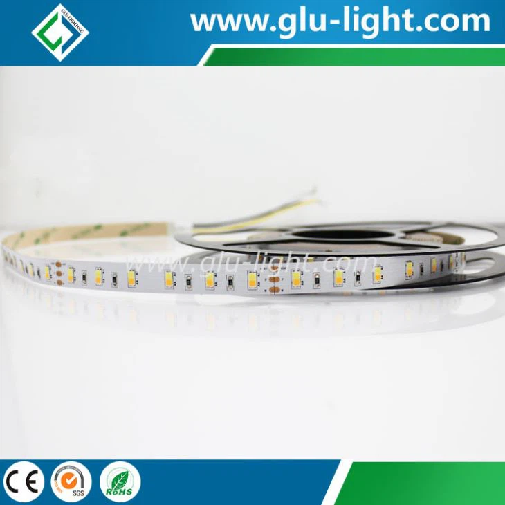 New Ra90 2 chips in 1 W/WW dual color CCT tunable 5630led strip 60leds/m