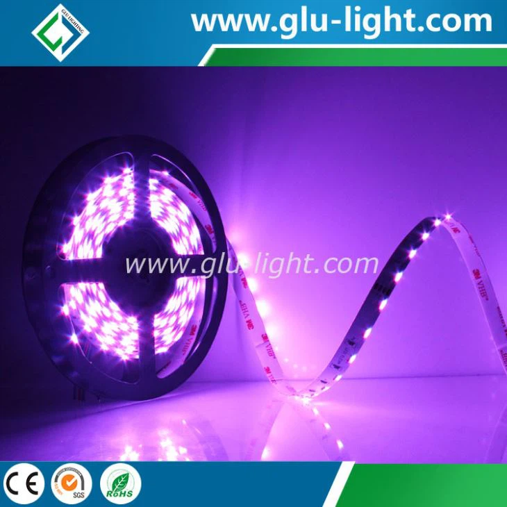 New high quality 24V 60led/m side emitting RGB flexible led strip