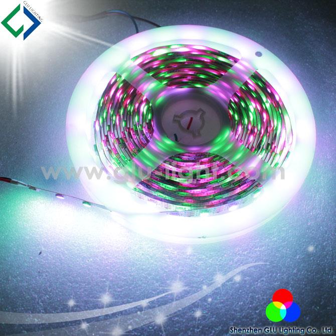 China waterproof outdoor ws2812b led strip with 2 year warranty