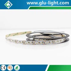Ringiela Doppja 24V Ra90 2216 Dot Free 240leds/m Strixxa Led ta' Densità Għolja Bi 3 Snin Garanzija